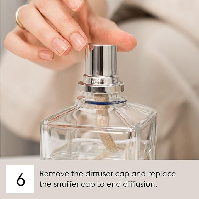 Maison Berger - Agaves Garden - Lampe Berger Fragrance Refill Oil for Home Diffusers - Luxury Air Freshener with Lemon, Coffee & Blue Agave Notes - 16.9 Fl Oz (500ml)