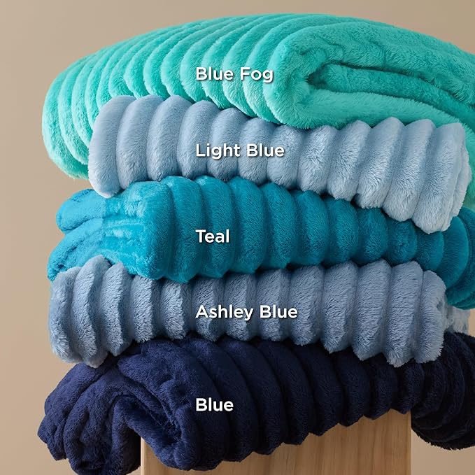 Bedsure GentleSoft Blue Fleece Blanket for Couch - Cozy Soft Blankets for Women, Cute Small Throws for Girls, Light Blue, 60x80 Inches