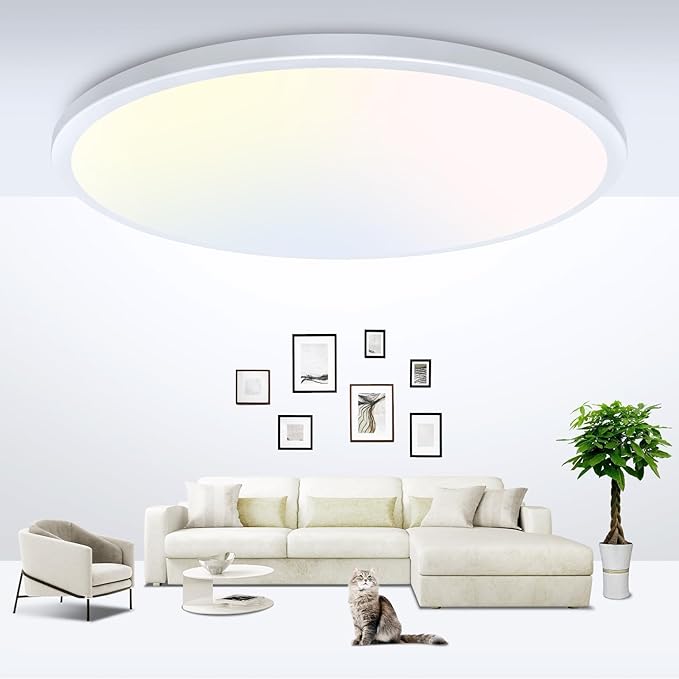 Ceiling Lights