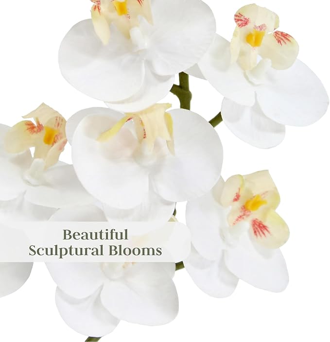 CG Hunter Faux White Orchid Plant, Premium Artificial Indoor Flower Display Stands 24”, Beautiful Sculptural Blooms That Lasts Forever, Grey Planter Pot Included