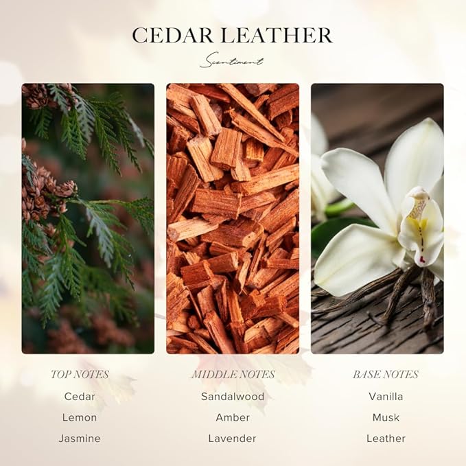 Scentiment Diffuser Oil - Cedar Leather Fall Collection | Aromatherapy Home Fragrance | Luxurious Scent with Lemon, Jasmine Sandalwood, Amber, Lavender, Vanilla, & Musk (120ml)