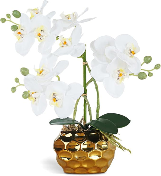 Ziwon Artificial Orchid Flowers & Plants Potted in Ceramic Pot, White Faux Phalaenopsis Orchids for Table Centerpiece, Realistic Fake Flower Arrangement for Home Office Decor Indoor