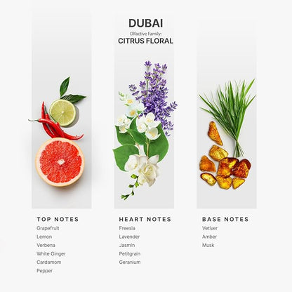 AromaPlan Hotel Scents Dubai 5 Fl Oz (2 Pack), Luxury Aroma & Hotel Fragrance Diffuser Oil- Hotel Diffuser Oil for Aromatherapy- USA Made, Bigger Bottle, Bolder Aroma & Longer Lasting