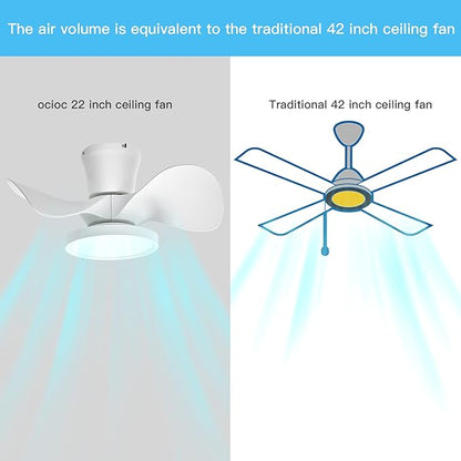 ocioc Quiet Ceiling Fan with LED Light 22 inch Large Air Volume Remote Control for Kitchen Bedroom Dining Room Patio