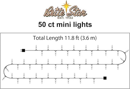 Brite Star 50 Lt String to String Lights, Multi, Green Wire