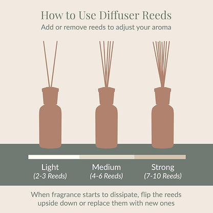 Archipelago Botanicals Currant Reed Diffuser, Home Fragrance Reed Diffuser, Includes Fragrance Oil, Decorative Wooden Cap & 10 Diffuser Reeds, Perfect for Home, Office or Gift, 7.85 fl oz
