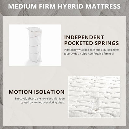 Queen Mattress 12 Inch Hybrid Mattress Queen in a Box with Bamboo Cover - Memory Foam Mattress with Strong Support and Motion Isolation - Medium Firm Mattress with Pocket Springs
