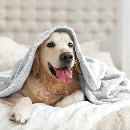 BEDELITE Fleece Blanket Dove Grey Throw Blankets for Couch & Bed, Luxury Plush Cozy Fuzzy Blanket 50x60 inches, Super Soft Warm Lightweight Throw Blanket for Travel Camping