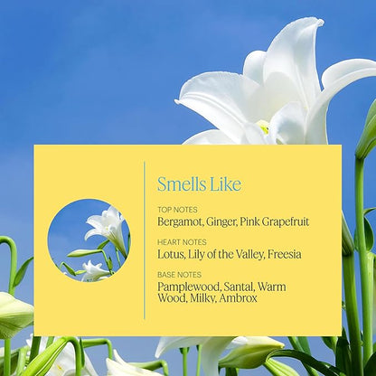 AERA Mini Zephyr - Essential Oil for Home-Simple and Minimal Fragrance - Notes of Lotus Petals Sandalwood and Lily of The Valley - Scent Refill - Capsule Size Works with Mini Diffuser