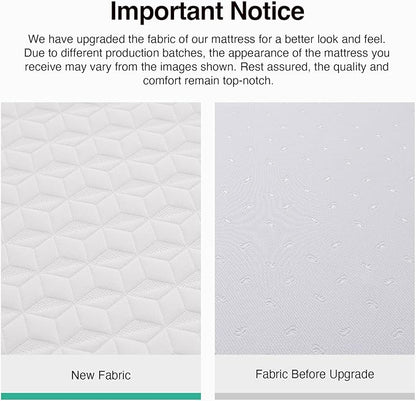 Novilla Full Mattress, 12 Inch Full Memory Foam Mattress for Pressure Relief & Comfort Sleep, Removable Washable Cover,CertiPUR-US Certified, Plush