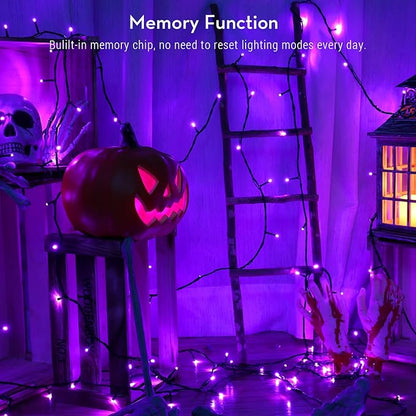 Brizled Purple Lights, 78.74ft 240 LED Halloween Lights Connectable with Timer, 8 Modes Plugin Purple Light String Waterproof Outdoor Mini Light for Outside Indoor Spooky Tree Decor