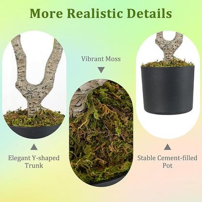 GOFLAME 3FT Artificial Camellia Tree, 2 Pack Faux Camellia Plant with White Flowers, Solid Wood Trunk, Realistic Moss, Greenery Potted Decoration Tree for Indoor Outdoor Home Porch Front Door