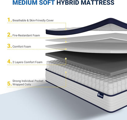 Avenco Queen Mattress in a Box, 12 Inch Hybrid Size Mattresses with Comfort Foam and Pocket Coils, Colchones Queen for Pressure Relief & Motion Isolation