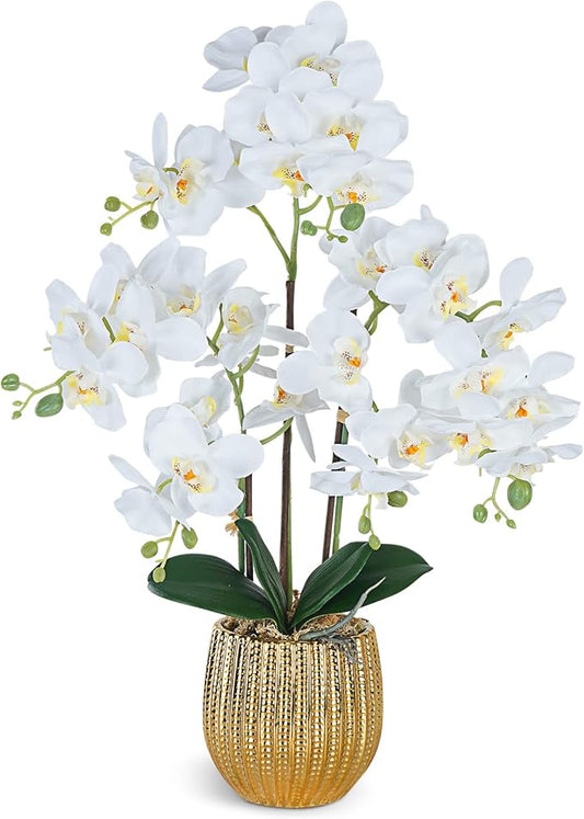 Ziwon Artificial Orchid Flowers & Plants Potted in Ceramic Pot, White Faux Phalaenopsis Orchids for Table Centerpiece, Realistic Fake Flower Arrangement for Home Office Decor Indoor