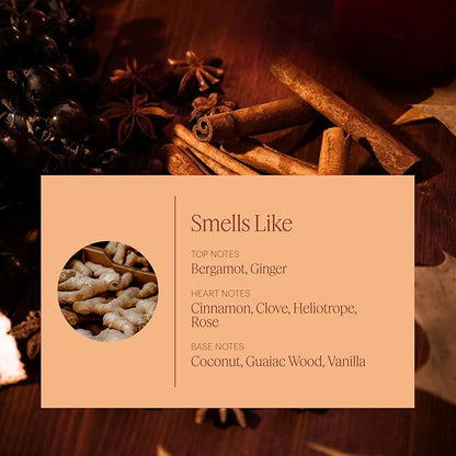 Aera Mini Pumpkin Spice Home Fragrance Scent Refill - Notes of Pumpkin, Clove and Vanilla - Works with Aera Mini Diffuser - Limited Edition