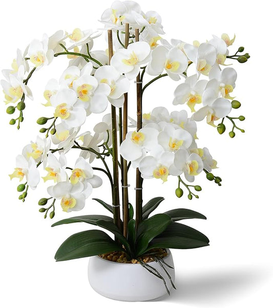 Ziwon Artificial Orchid Flowers & Plants Potted in Ceramic Pot, White Faux Phalaenopsis Orchids for Table Centerpiece, Realistic Fake Flower Arrangement for Home Office Decor Indoor