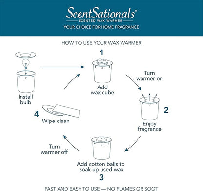 Scentsationals Wax Melt Warmer, for Scented Wax Melts - Day of The Dead Collection Dia de Los Muertos - Fragrance Cubes and Tarts