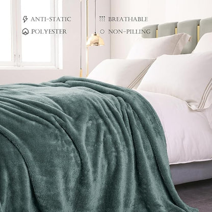 Exclusivo Mezcla Plush Fuzzy Fleece Bed Blanket Twin Size, Super Soft, Fluffy and Warm Blankets, Suitable for All Seasons (Celadon, 90x66 Inches)