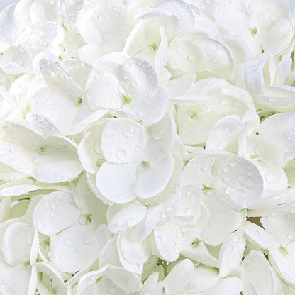 3 Pcs Real Touch Hydrangea Artificial Flowers, 21" White Full Faux Hydrangea Flowers Latex Fake Flowers for Home Decor Party Floral Arrangements Wedding Bouquets Centerpieces Outdoor Decor