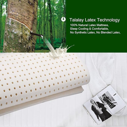 Sunrising Bedding 8" Natural Latex Twin XL Mattress, Individually Encased Pocket Coil, Firm, Supportive, Naturally Cooling, Organic Mattress, 120-Night Free Trial, 20-Year Warranty