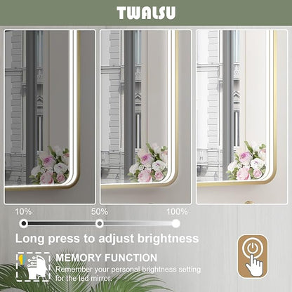 55x32 Inch LED Bathroom Mirror with Lights, Gold Metal Framed LED Mirror for Bathroom, 3 Colors and Stepless Dimmable Wall Mounted Lighted Bathroom Vanity Mirror, Anti-Fog, Memory