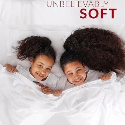 Mellanni Queen Sheets Set - 4 PC Iconic Collection Bedding - Hotel Luxury, Extra Soft, Cooling Bed Sheets - Wrinkle, Fade, Stain Resistant (Queen, Striped Gray/Silver)