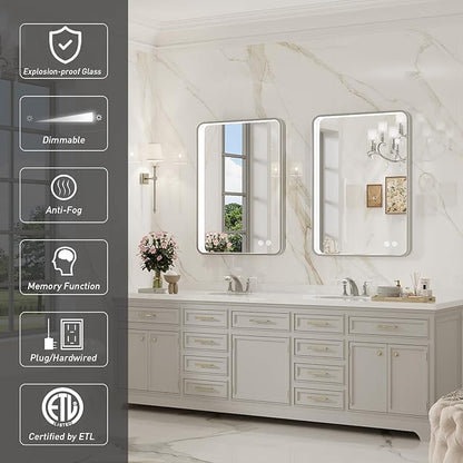LED Bathroom Mirror with Lights,20x28 Inch Brushed Silver Framed Lighted Vanity Mirror,Anti Fog Stepless Dimmable Wall Mounted(Horizontal/Vertical)