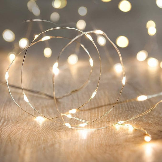 ANJAYLIA LED Fairy String Lights, 10Ft/3M 30leds Firefly String Lights Garden Home Party Wedding Festival Decorations Crafting Battery Operated Lights, Warm White