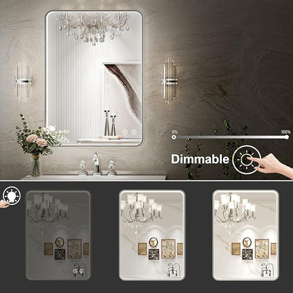 LED Bathroom Mirror with Lights,20x28 Inch Brushed Silver Framed Lighted Vanity Mirror,Anti Fog Stepless Dimmable Wall Mounted(Horizontal/Vertical)