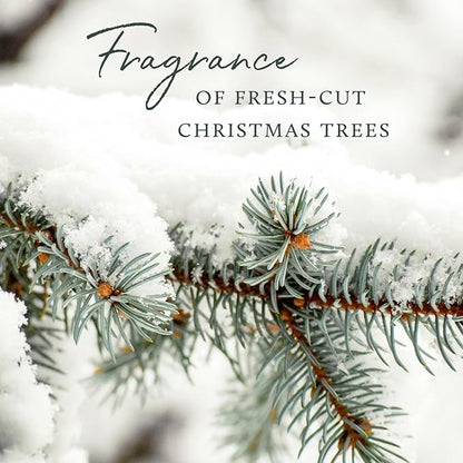 Thymes Frasier Fir Reed Diffuser Set – Includes Reeds, Fragrance Oil, and Frosted Glass Bottle – Fragrance Oil Diffuser – Room Fresheners – Luxury Home Decor – Silver (Statement, 4 fl oz)