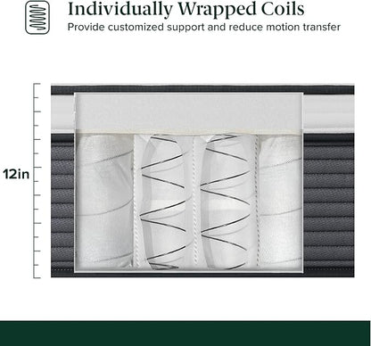 ZINUS 12 Inch True Support Hybrid Mattress [New Version], Twin, Fiberglass Free, Medium Feel, Motion Isolation, Certified Safe Foams & Fabric, Mattress in A Box