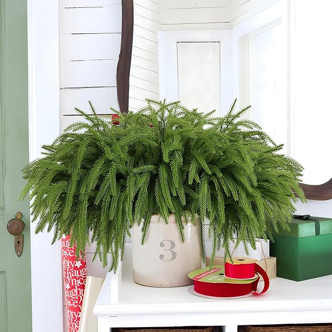 24 Pcs Artificial Norfolk Pine Branches, Faux Norfolk Pine Stems DIY Crafts Faux Christmas Norfolk Pine Branches for Xmas Indoor Outdoor Home Decor (24)
