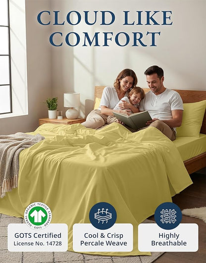 LANE LINEN 100% Organic Cotton Vintage Pre Washed Bed Sheets Full Size, Eco Friendly Sustainably Produced, Machine Washable Naturally Temperature Regulating Full Size Bedding- Cocoon