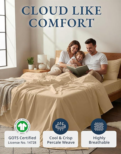 LANE LINEN 100% Organic Cotton Twin Size Bed Sheets, Fully Elasticized Mercerised Cotton Bed Sheet Set, Soft & Comfy Low Pill Face Resistant Bedding Sheets & Pillowcase Set- Linen