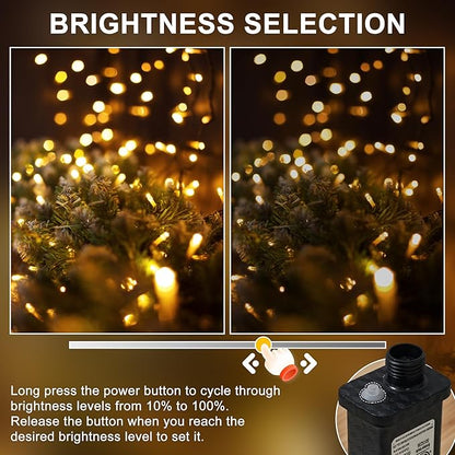 RPGT Christmas Light 1000 LEDs 336ft Green Cable Wire Fairy String Tree Twinkle Lights Plug in 12 Modes for, Outdoor, Garden, Wedding, Christmas Party, Home Decoration (Warm White)