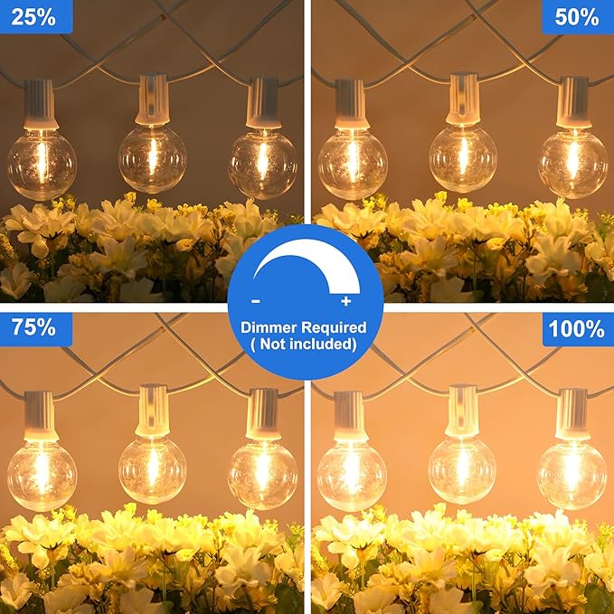 100ft Outdoor G40 LED Globe String Lights Dimmable Shatterproof Waterproof Light Strings with 52 Bulbs Connectable Commercial Hanging Lights for Patio Balcony Backyard Party (White Wire, 2-Pack)