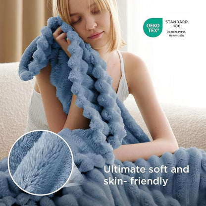 Bedsure GentleSoft Twin Blanket for Couch - Cozy Soft Blankets for Women, Cute Small Throws for Girls, Ashley Blue, 60x80 Inches