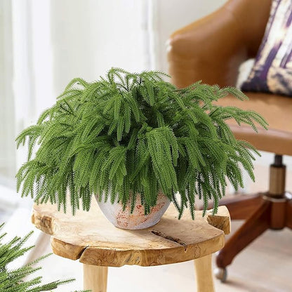 24 Pcs Artificial Norfolk Pine Branches, Faux Norfolk Pine Stems DIY Crafts Faux Christmas Norfolk Pine Branches for Xmas Indoor Outdoor Home Decor (24)