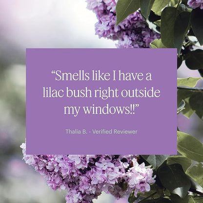 Aera Mini Lilac Daydream - Essential Oil for Home - Lilac Bush Fragrance - Notes of Dewy Leaves and Spring Blossoms - Scent Refill - Capsule Size Works with Mini Diffuser
