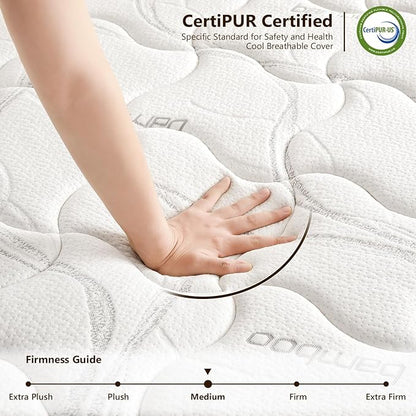 Queen Mattress 12 Inch Hybrid Mattress Queen in a Box with Bamboo Cover - Memory Foam Mattress with Strong Support and Motion Isolation - Medium Firm Mattress with Pocket Springs