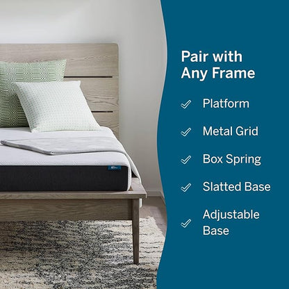 Lucid 6 Inch Memory Foam Mattress – Low Profile – Medium Firm Feel - Infused with Bamboo Charcoal and Gel - Bed in a Box - Temperature Regulating - Breathable - Twin Size