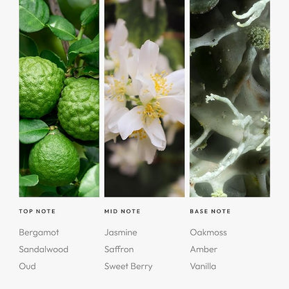 Aroma360 - Chandelier Fragrance Oil Blend | Hotel Inspired for Luxury Essential Oil Diffusers | Aromatherapy Scent Diffuser Oil | Bergamot, Woodsy Sandalwood, and Flirtatious Saffron - 500ML