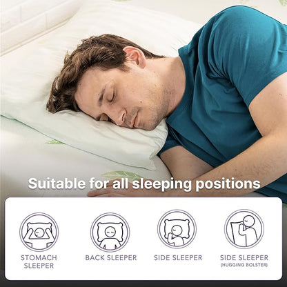 NapQueen Twin Size, 10 Inch Anula Green Tea Infused Memory Foam Mattress, Bed in a Box, CertiPUR-US Certified Mattress