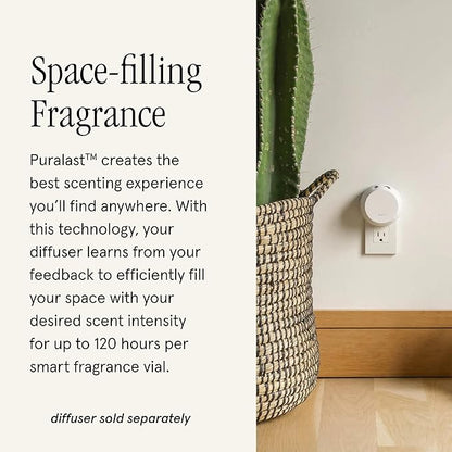 Pura & K. Hall Designs Home Scent Refill - Smart Home Air Diffuser - up to 120-Hours of Premium Fragrance per Refill - Household Essential - Clean & Safe Diffuser Fragrance - 2 Pack, Milk