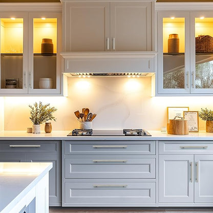 JOY DECOR 60 Pack Cabinet Handles, Brushed Nickel Cabinet Pulls, 8-3/4 in Hole Center Kitchen Cabinet Handles, Stainless Steel T Bar Handles for Dresser Drawers