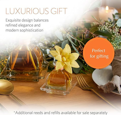 AGRARIA PetiteEssence Flower and Reed Diffuser Set, Hand Crafted Sola Flower Botanical Home Fragrance Set, Scented Oil Gift for All Occasions