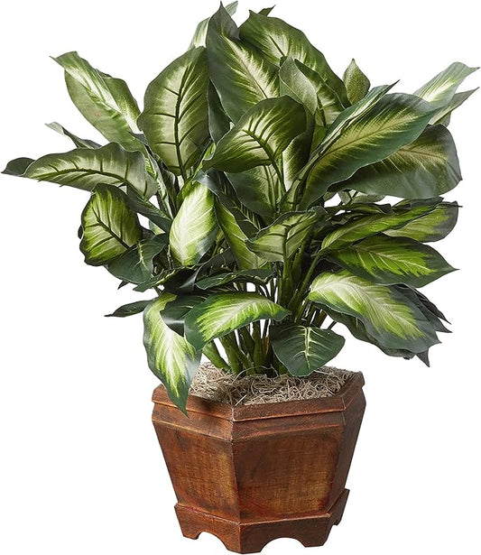 Nearly Natural 22IN Artificial Triple Golden Dieffenbachia Plant with Decorative Wood Planter, Faux Plant for Indoor Home Décor