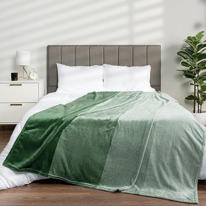 Pavilia Green Ombre Fleece Bed Blanket, Soft & Lightweight, Emerald Forest Green Gradient, Cozy Microfiber, Twin Size (60x80)