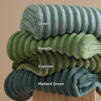 Bedsure GentleSoft Green Throw Blanket for Couch - Cozy Soft Blankets for Women, Cute Small Fleece Throws for Girls, Sage Green Room Decor Decorations for Home, 50x60 Inches