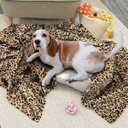 PAVILIA Cheetah Fleece Throw Blanket | Cheetah Leopard Animal Print Flannel Blanket for Twin Bed | Soft Velvet Lightweight Microfiber Blanket for Bed Couch Sofa | 60x80 Inches